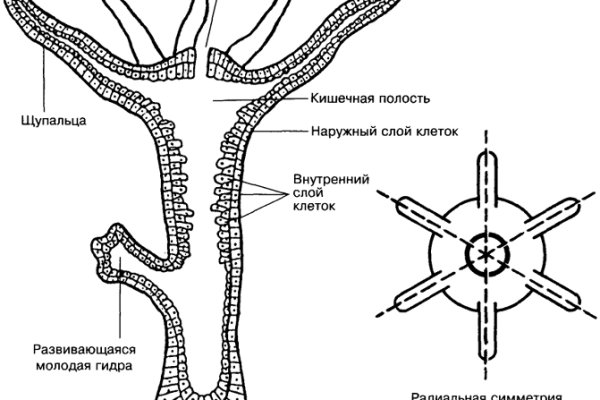 Как открыть кракен